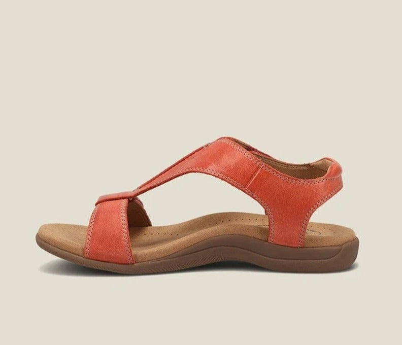 Orange / 35,Orange / 36,Orange / 37,Orange / 38,Orange / 39,Orange / 40,Orange / 41,Orange / 42,Orange / 43