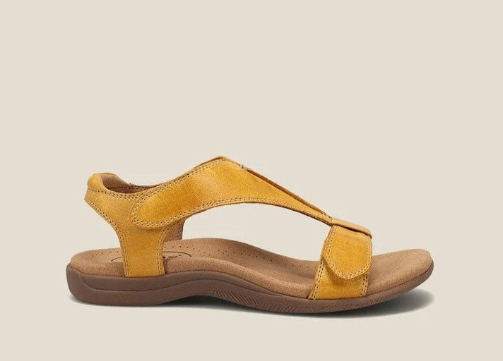 Jaune / 35,Jaune / 36,Jaune / 37,Jaune / 38,Jaune / 39,Jaune / 40,Jaune / 41,Jaune / 42,Jaune / 43