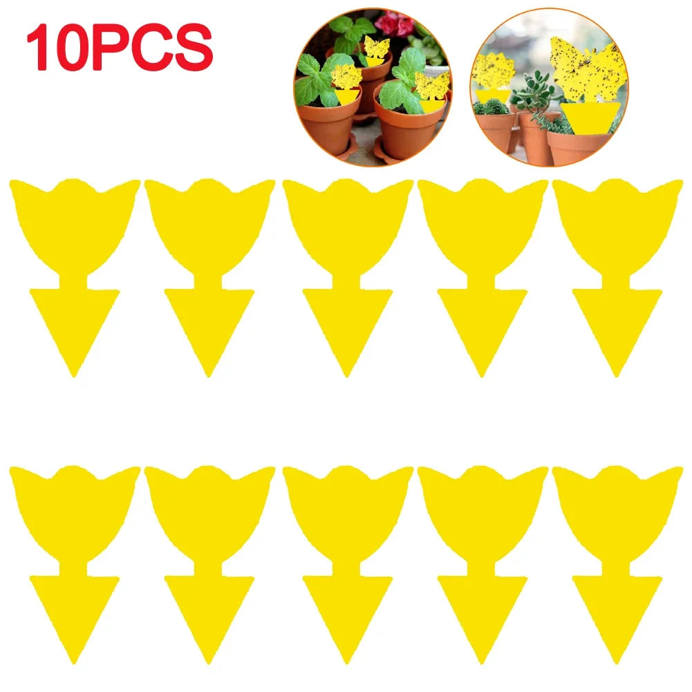 Pièges Jaunes Anti-Insectes Double Face - 50 pcs