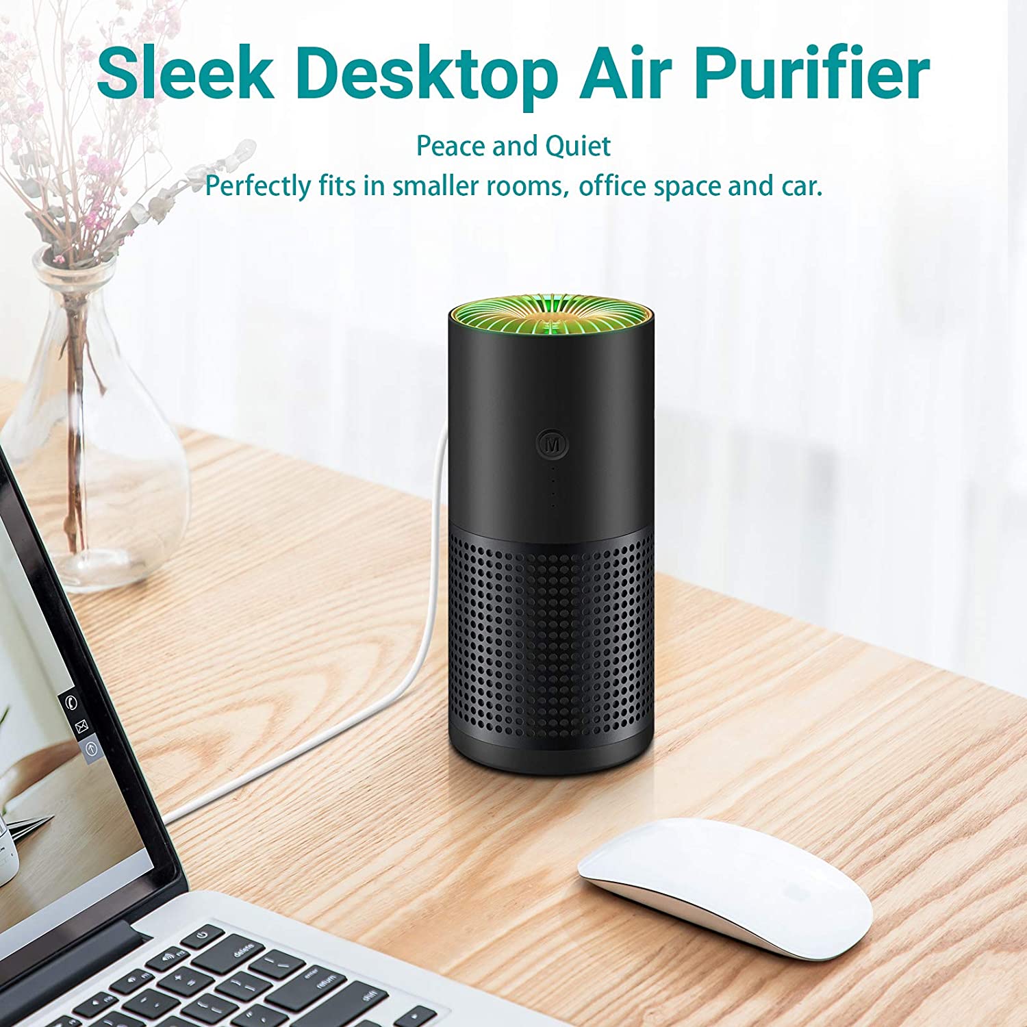 Purificateur d'air portable