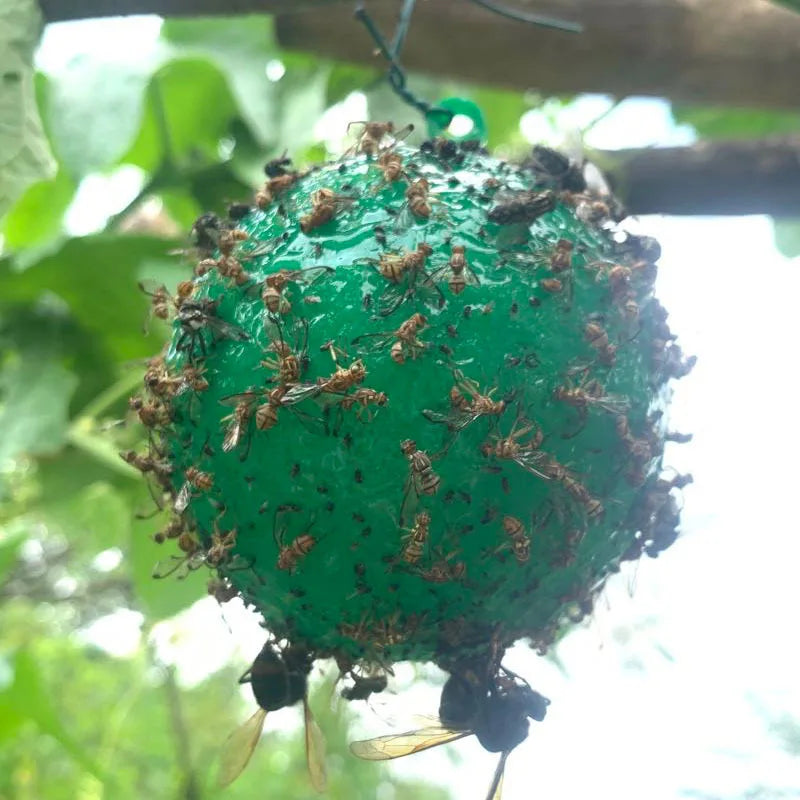 10x Pièges Sphère Adhésifs pour Mouches et Insectes Volants - Résistants aux Intempéries