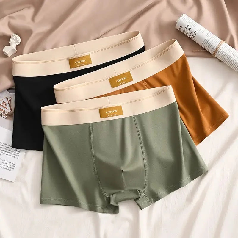 Ensemble de 5 boxers respirants en coton pour hommes - Premium