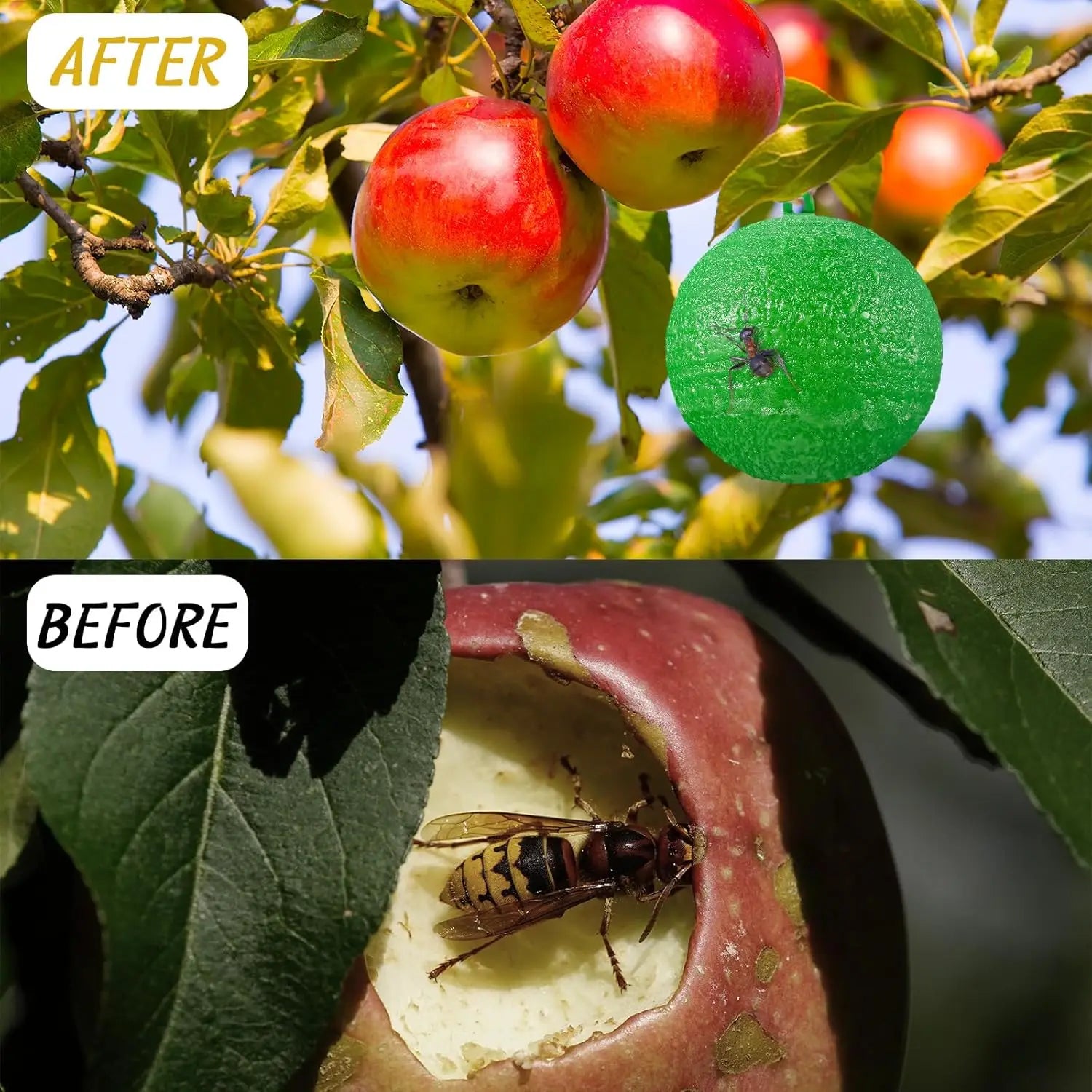 10x Pièges Sphère Adhésifs pour Mouches et Insectes Volants - Résistants aux Intempéries