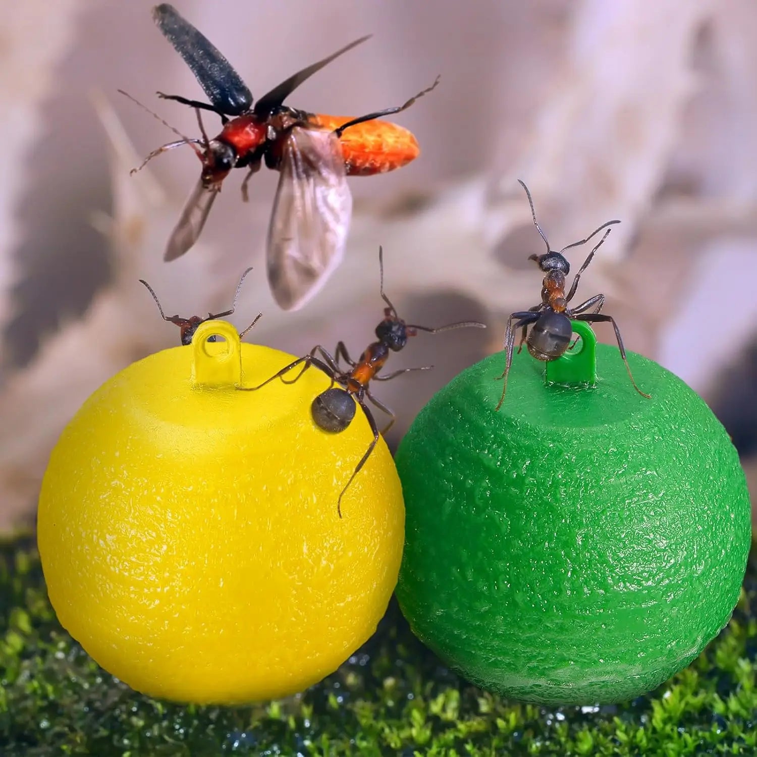 10x Pièges Sphère Adhésifs pour Mouches et Insectes Volants - Résistants aux Intempéries