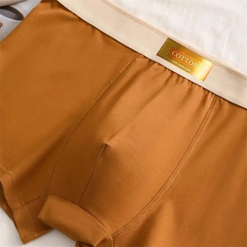 Ensemble de 5 boxers respirants en coton pour hommes - Premium