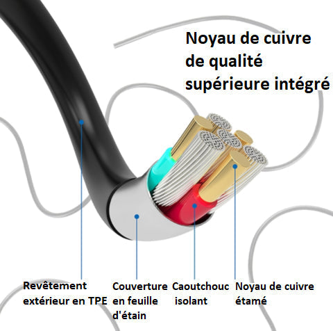 Caméra Endoscopique Intelligente